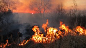 Immagine rappresentativa di un incendio