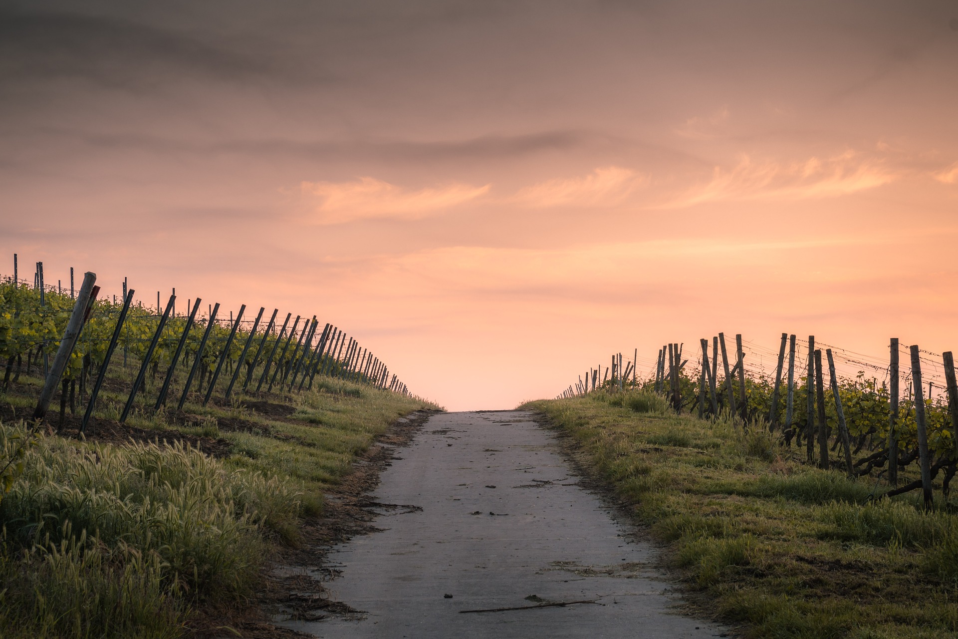 Immagine strada rurale